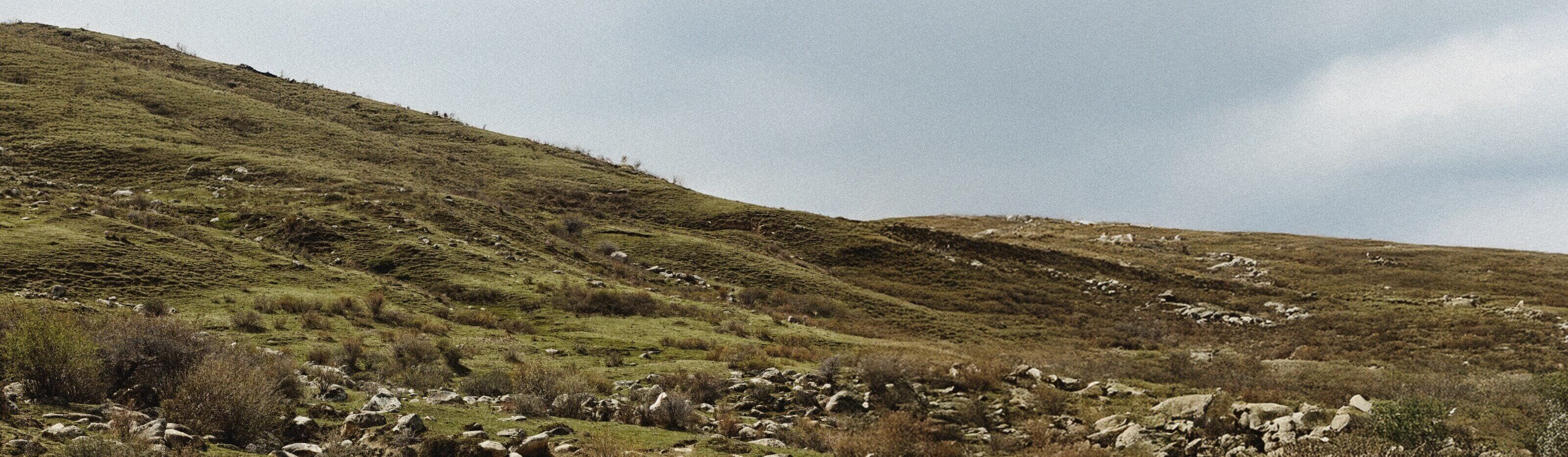 Image from MUDDY VIBE. Natural hillside landscape with green grass, bare soil, rocks, shrubs, stones, and a light gray sky.